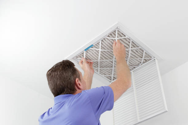 Best Affordable Duct Cleaning Services  in Winfield, IA